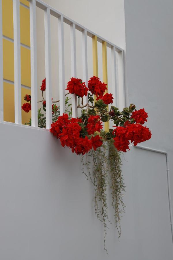 Munnar Bnb Bed and Breakfast Exterior foto
